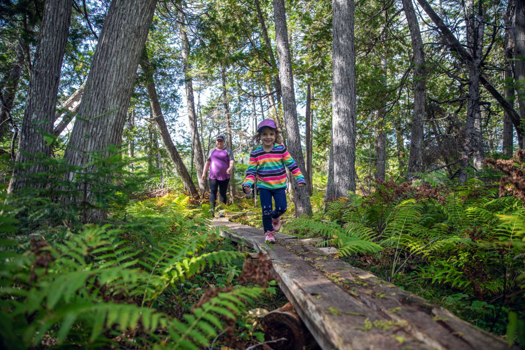 Guided family hike in Katahdin Woods &amp;amp; Waters Photo: Taylor Walker