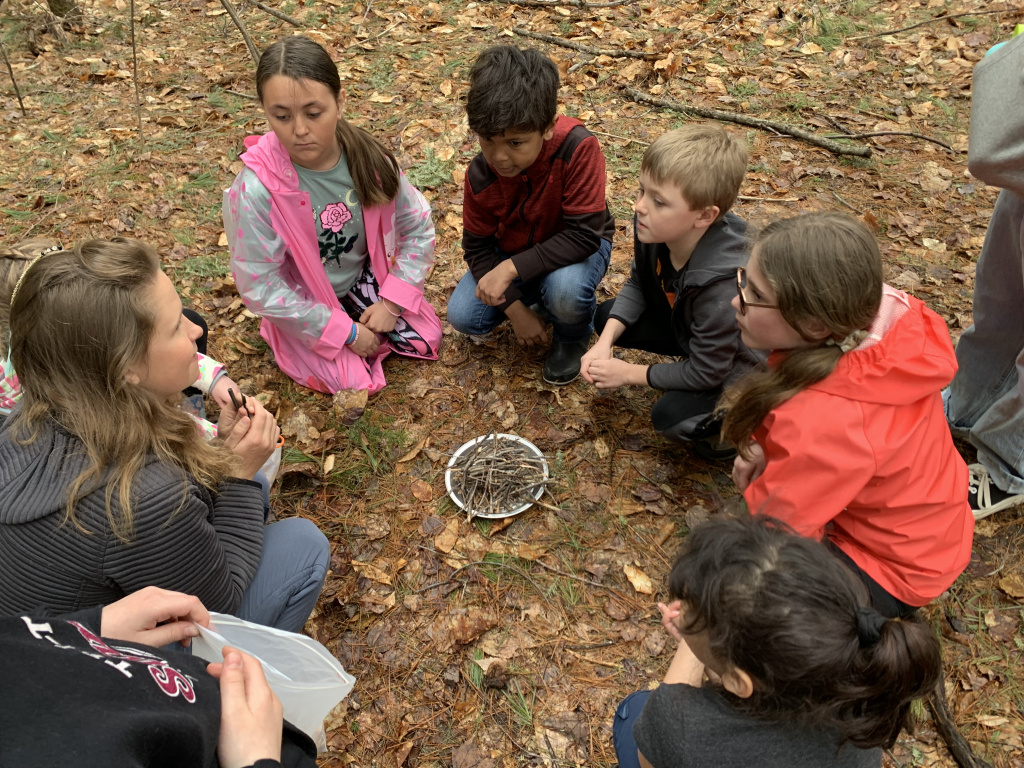 A group of children gathers around an adult, learning with sticks on the forest floor, surrounded by leaves.