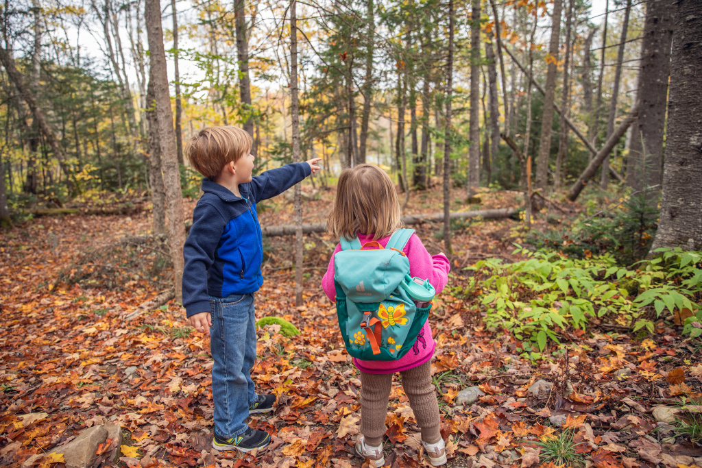 Two children explore a forest, with one pointing excitedly while the other looks on, surrounded by colorful autumn leaves.