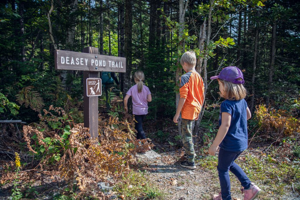 Three children walking along the Deasey Pond Trail, surrounded by lush greenery and autumn foliage.