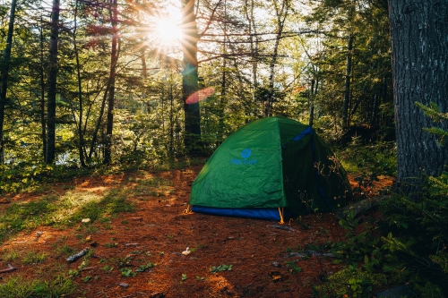 A green tent is set up in a wooded clearing, sun is streaming through mixed forest.