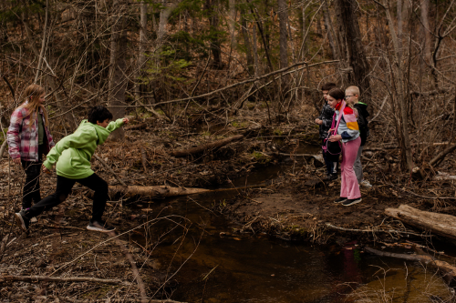 Children are jumping across a vernal pool in the woods.