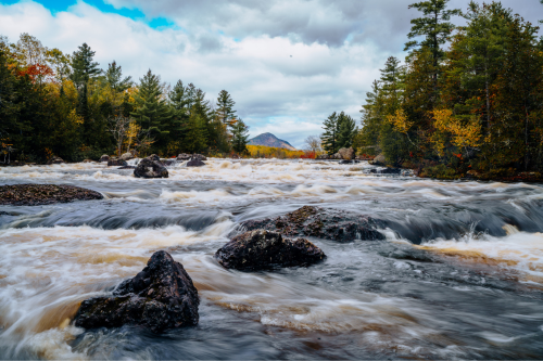 A river with whitewater flows toward the camera.